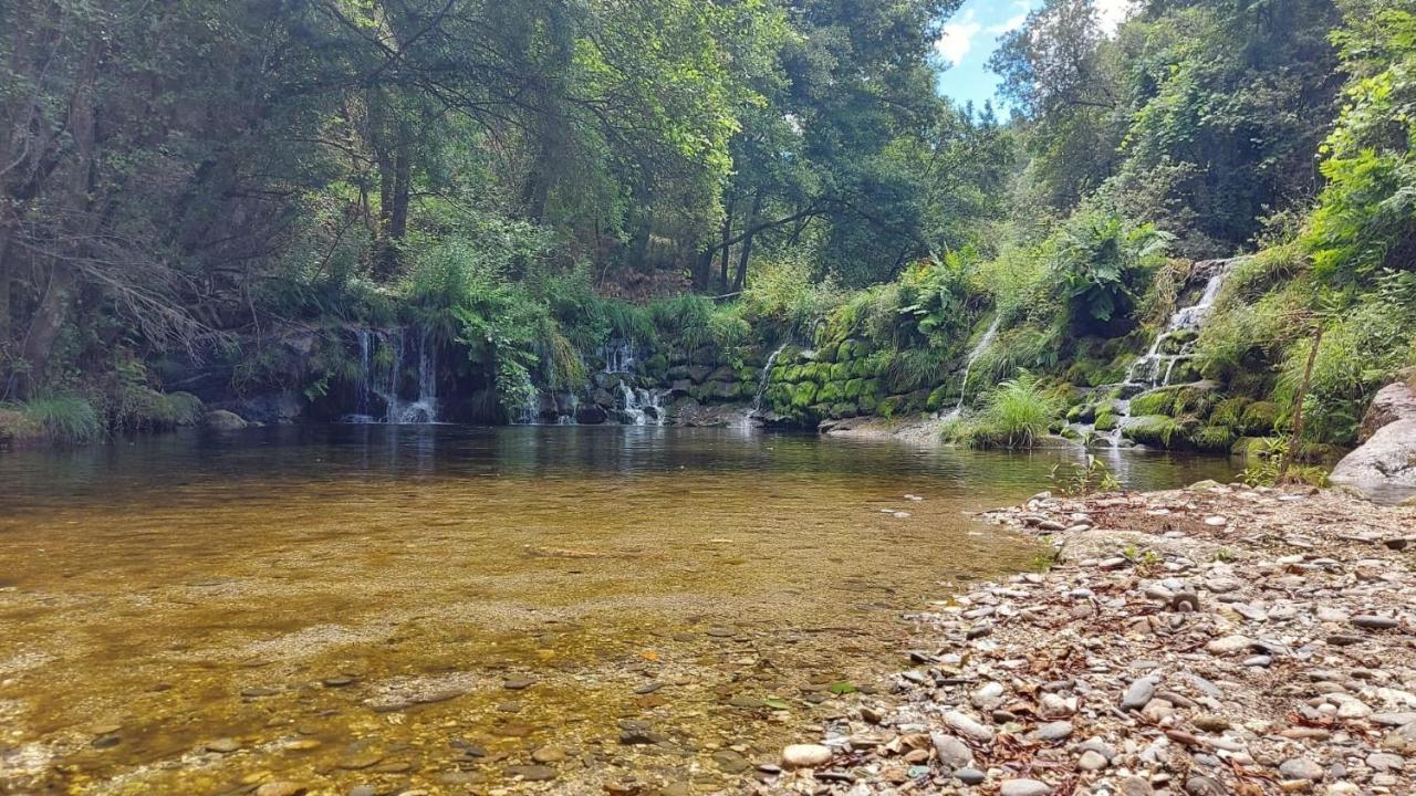 Sitio Dos Cogumelos Alojamentos Amarante Exteriör bild